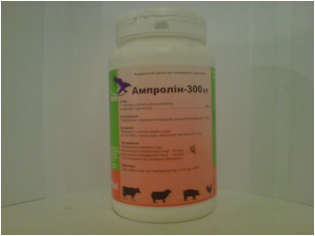 ампролин 300