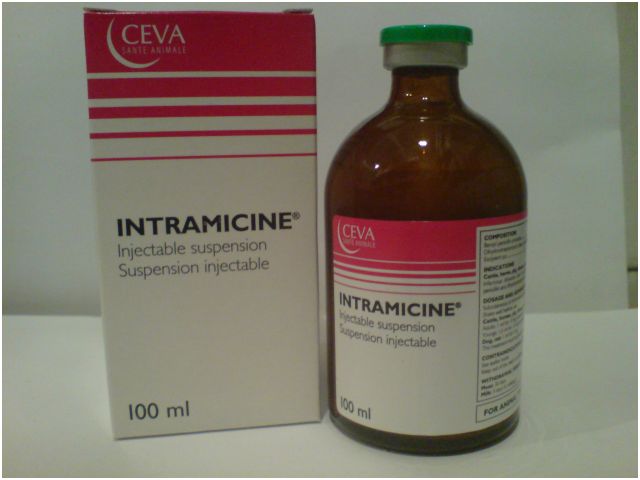 интрамицин